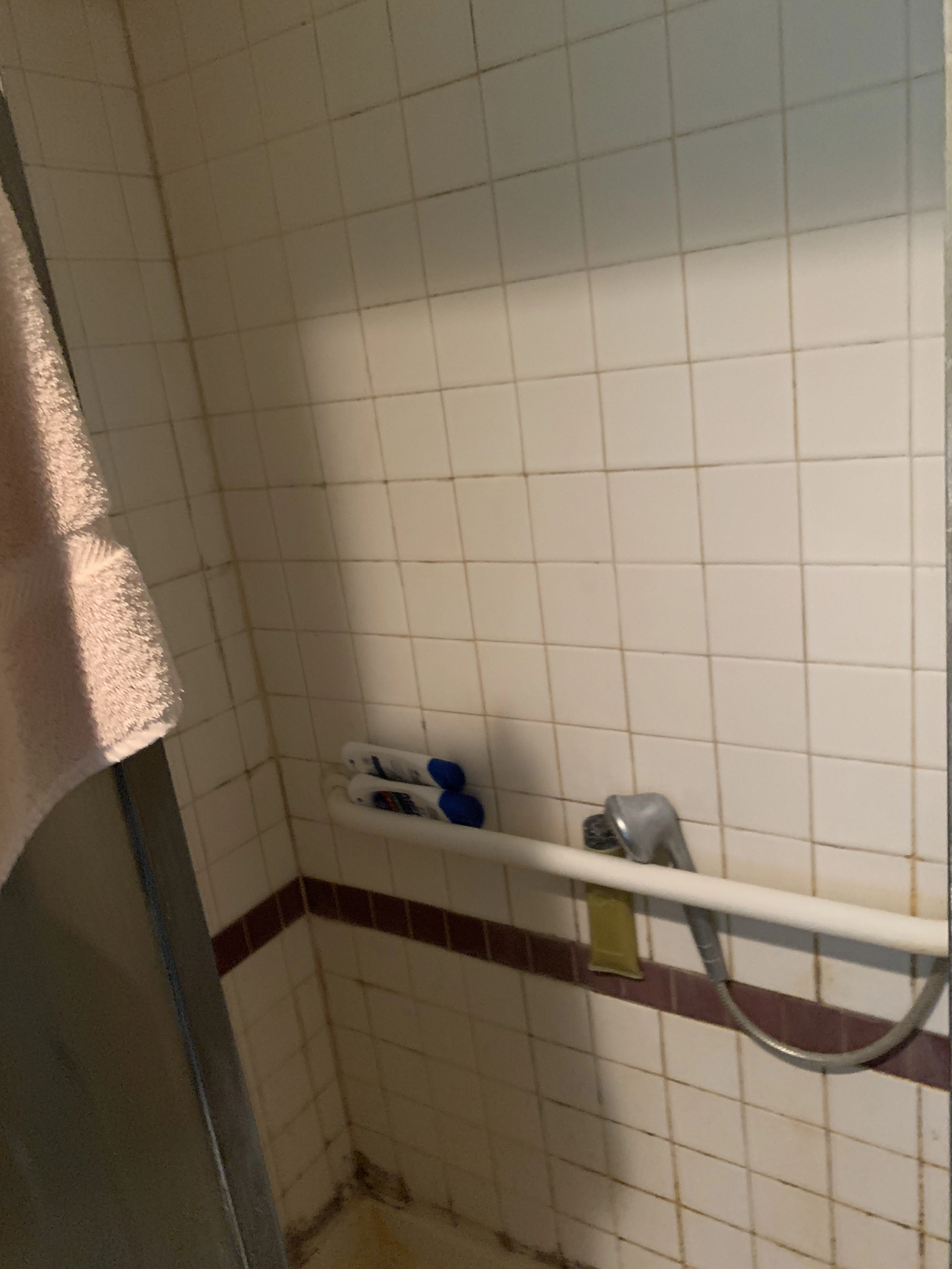 Stark Bathroom Before