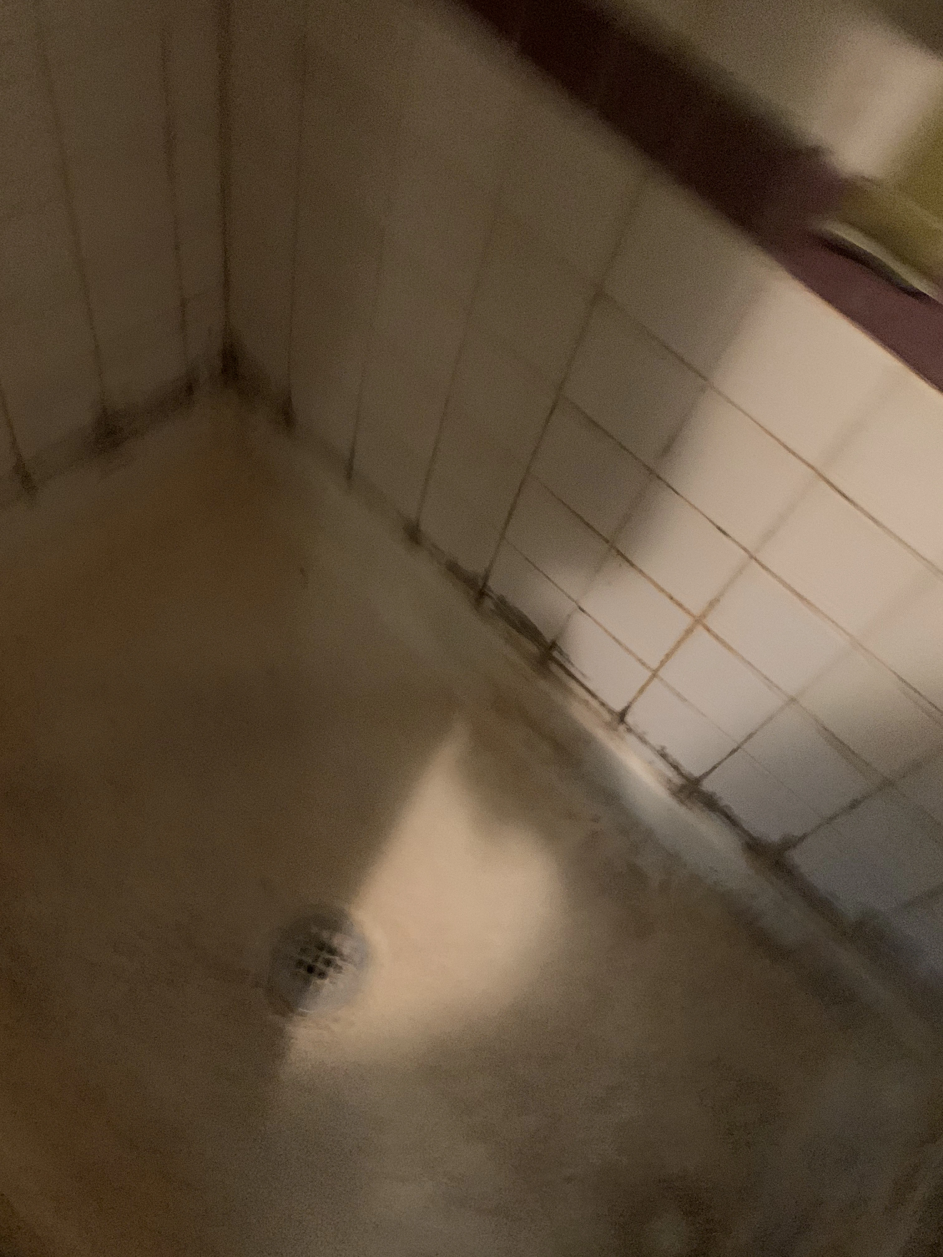 Stark Bathroom Before